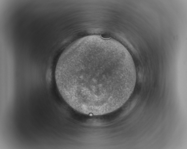 X0000101650211200808071122
