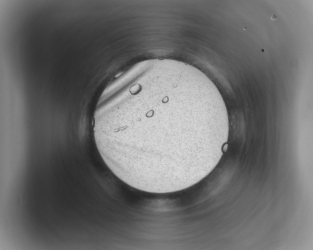 X0000101650212200808071122
