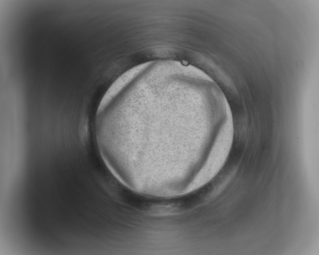 X0000101650213200808071122