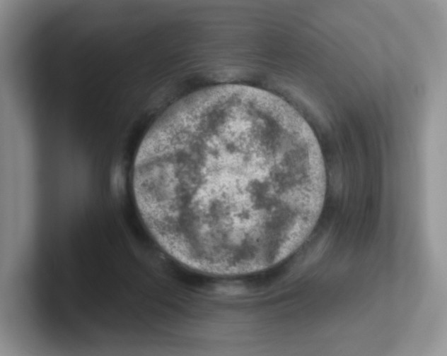 X0000101650214200808071122