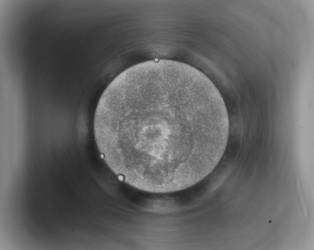 X0000101650215200808071122