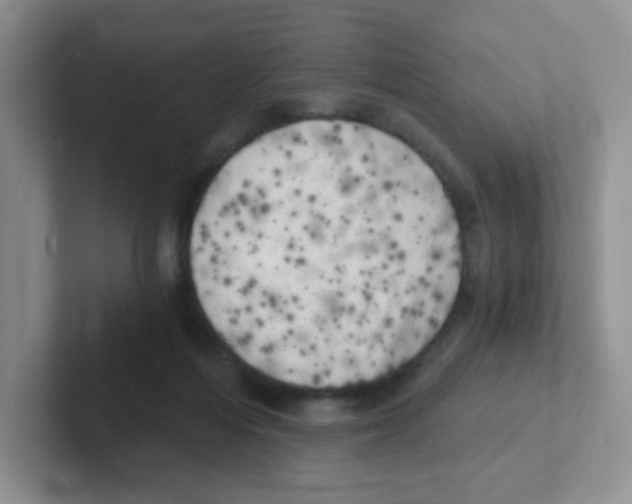 X0000101650216200808071122