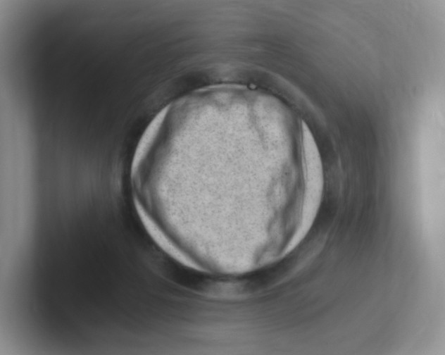 X0000101650217200808071122