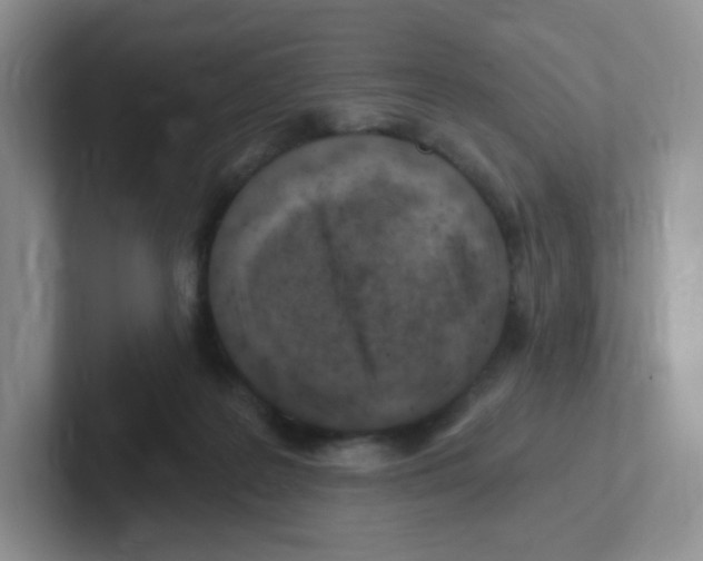 X0000101650219200808071122
