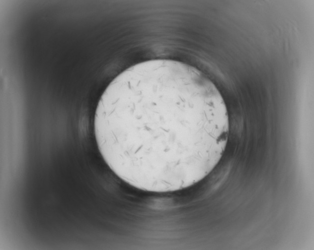 X0000101650220200808071122