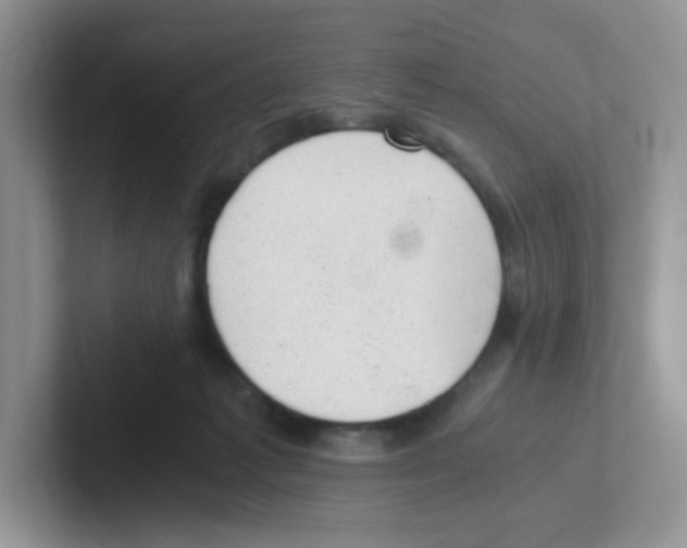 X0000101650221200808071122