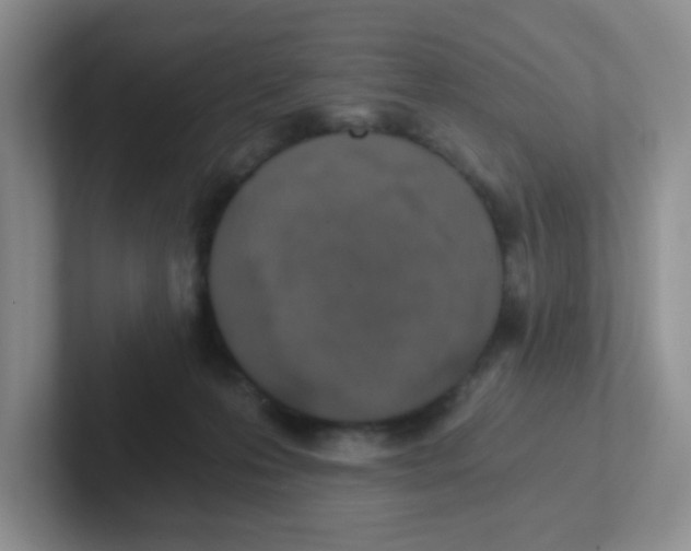 X0000101650223200808071122