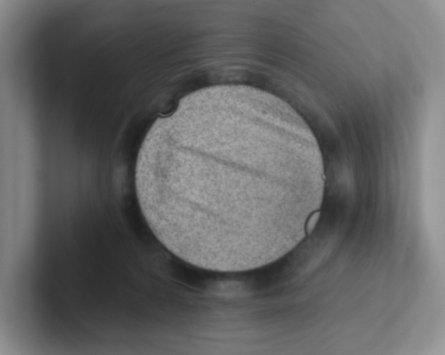 X0000101650224200808071122