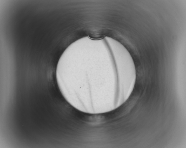 X0000101650225200808071122