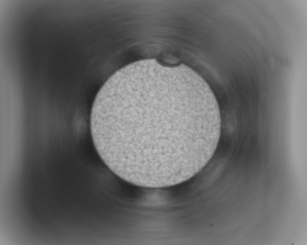 X0000101650226200808071122