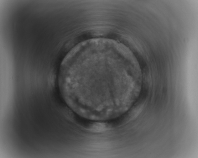 X0000101650227200808071122