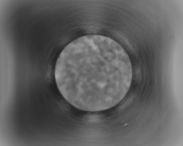 X0000101650228200808071122