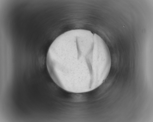 X0000101650230200808071121
