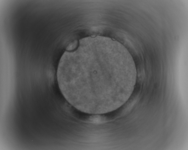 X0000101650231200808071121