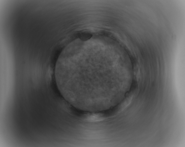 X0000101650235200808071121