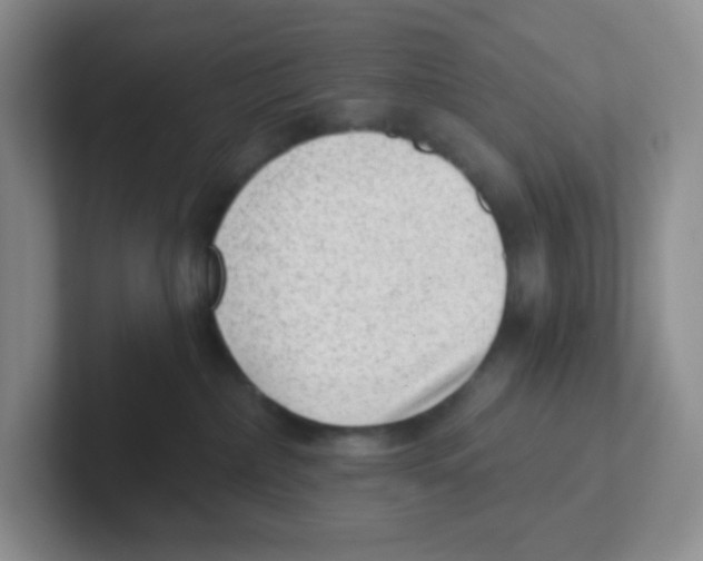 X0000101650236200808071121