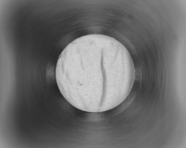 X0000101650238200808071121