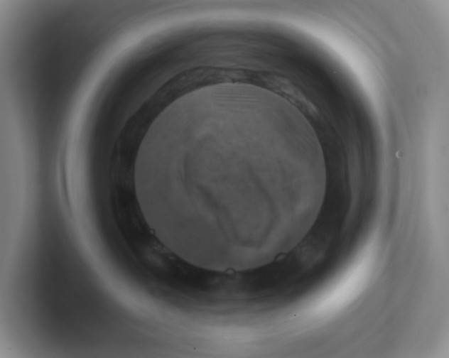 X0000101650239200808071121