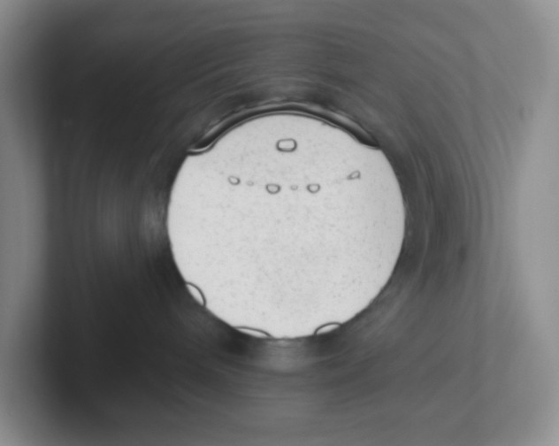 X0000101650240200808071121
