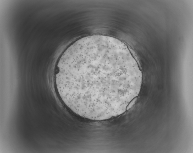 X0000101650241200808071121