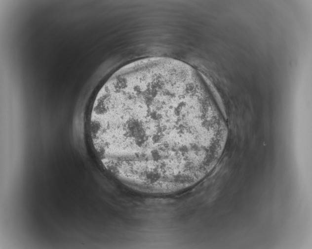 X0000101650242200808071121