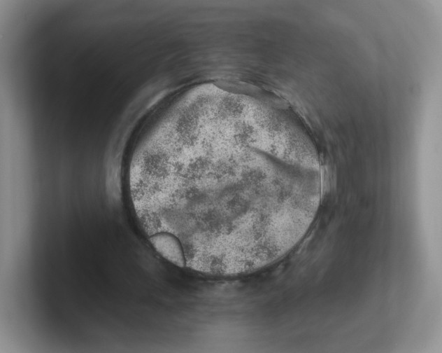 X0000101650243200808071121