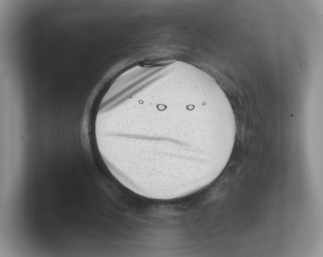 X0000101650244200808071121