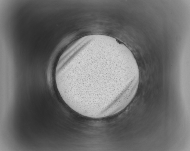 X0000101650245200808071121