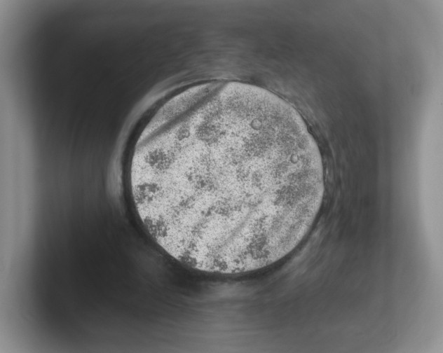 X0000101650246200808071121