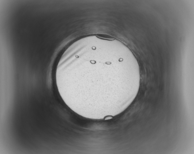 X0000101650248200808071121