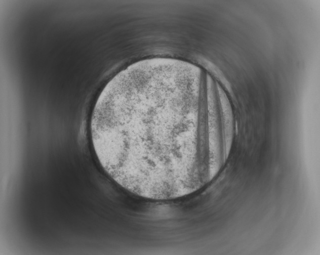 X0000101650249200808071121
