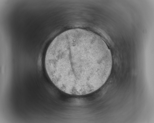 X0000101650250200808071121