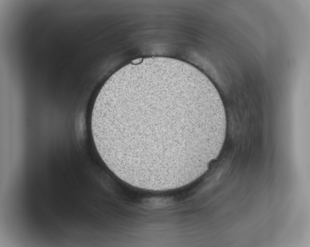 X0000101650251200808071121