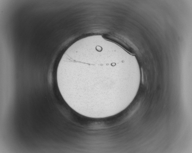 X0000101650252200808071121