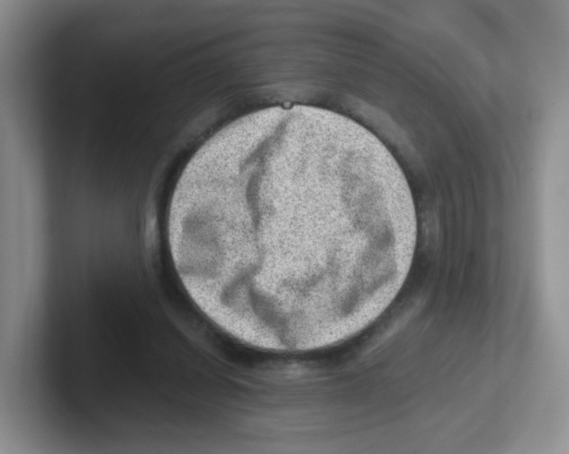 X0000101650254200808071121