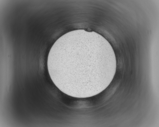 X0000101650255200808071121