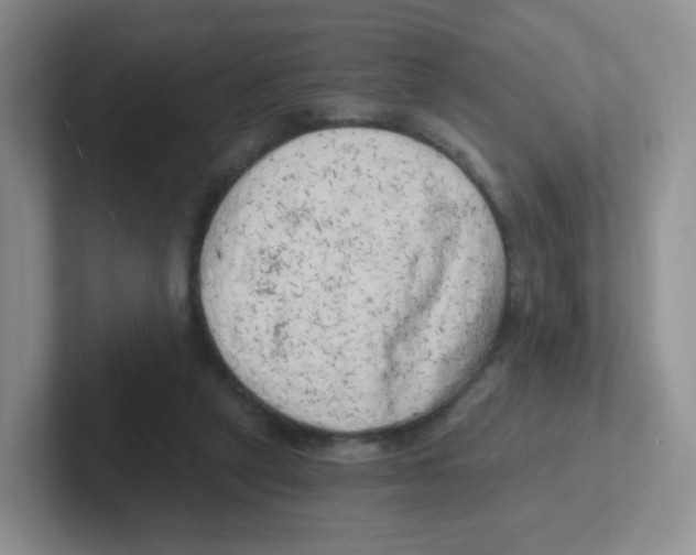 X0000101650257200808071121