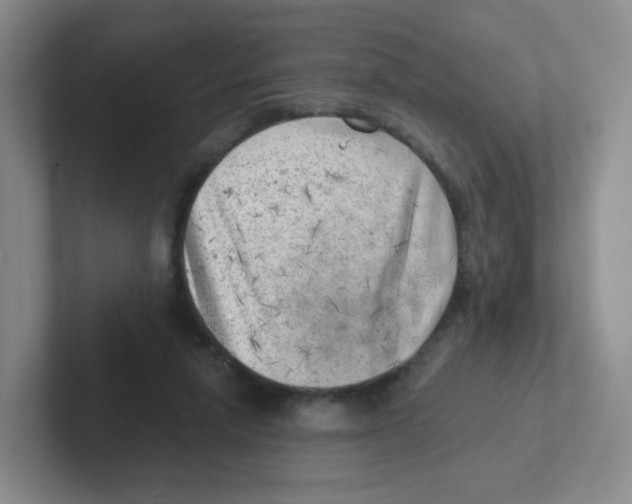 X0000101650258200808071121