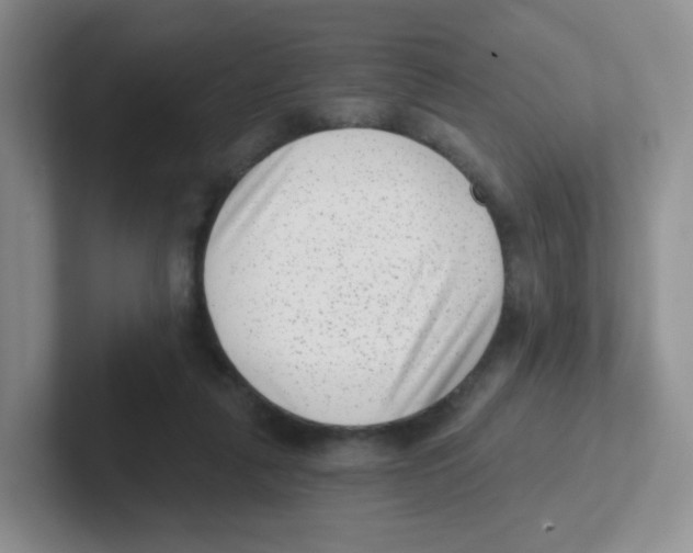 X0000101650259200808071121