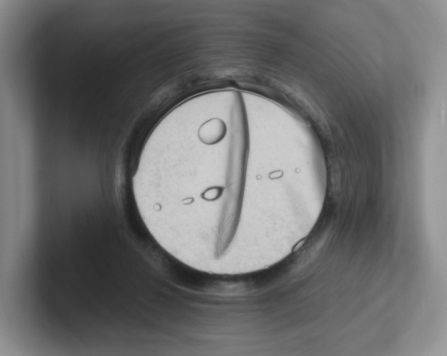 X0000101650260200808071121