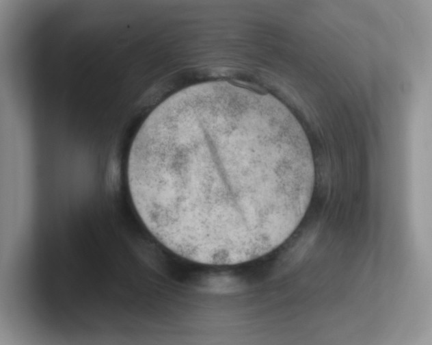 X0000101650262200808071121