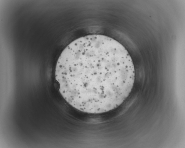 X0000101650263200808071121