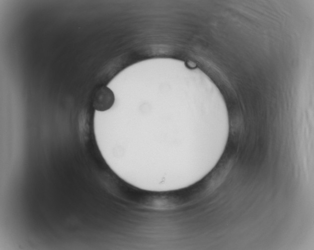 X0000101650264200808071121