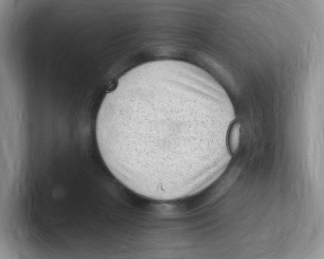 X0000101650265200808071121