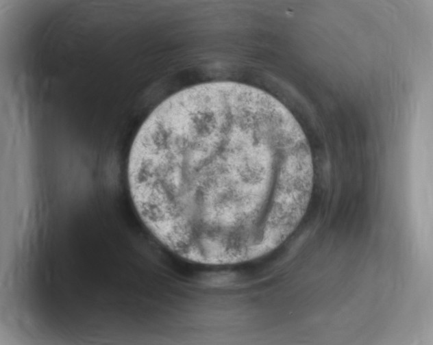 X0000101650266200808071121