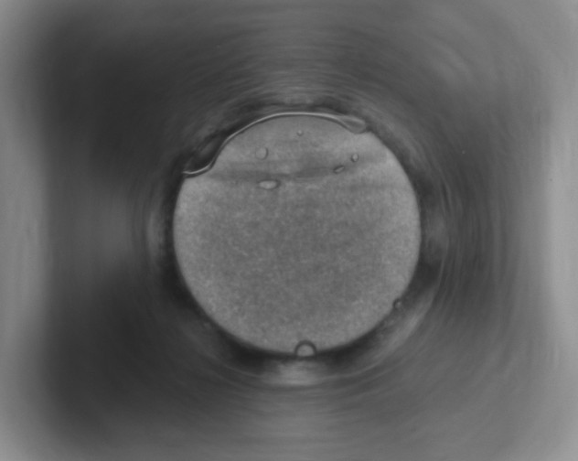 X0000101650268200808071121