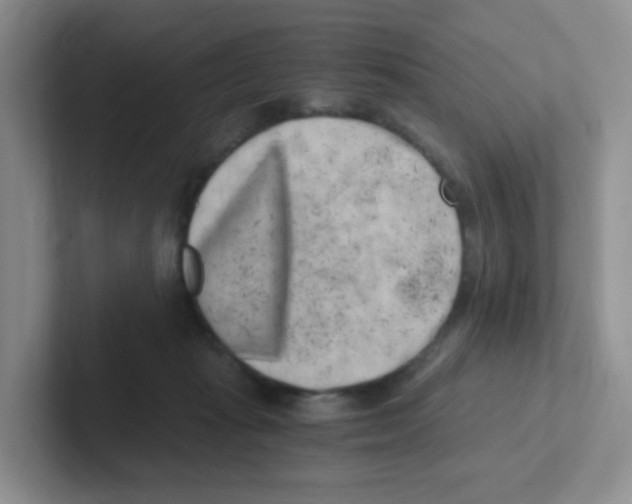 X0000101650269200808071121