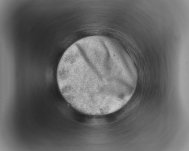 X0000101650270200808071121