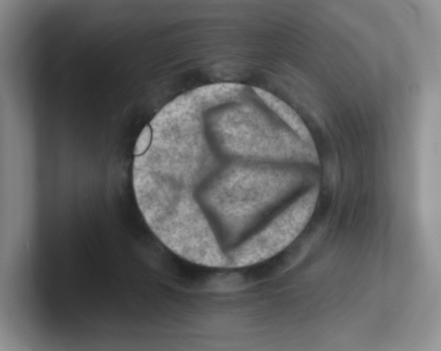 X0000101650271200808071121