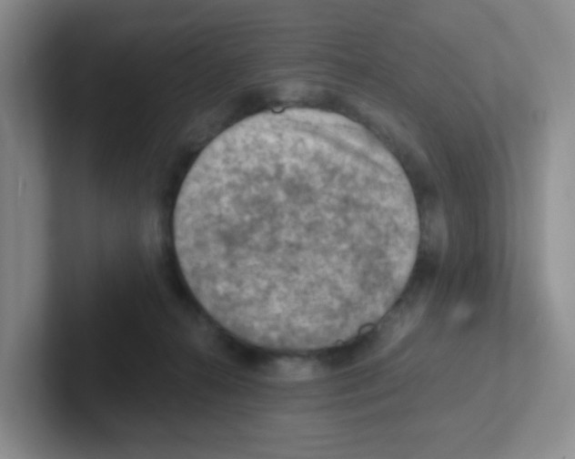 X0000101650272200808071121